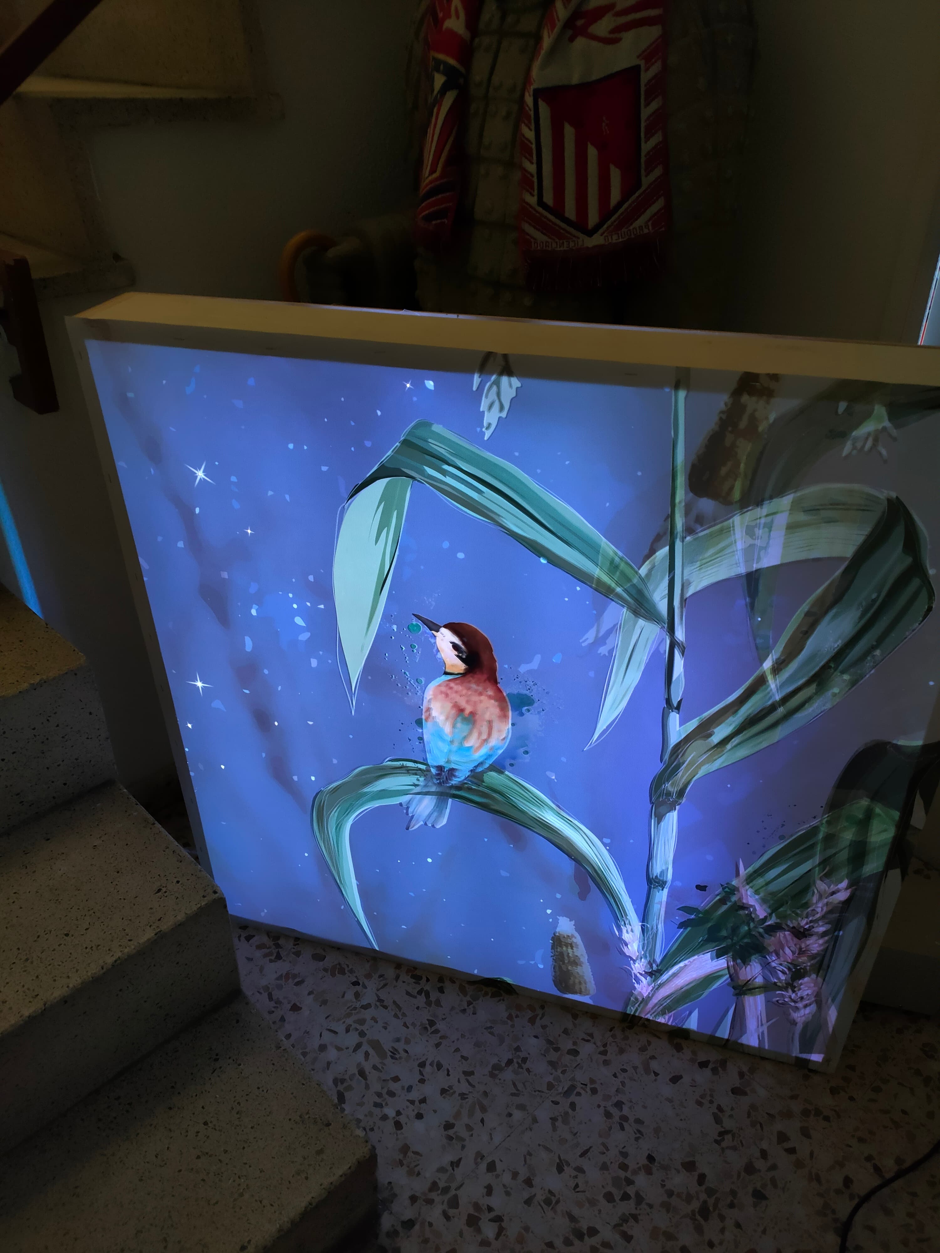 Proyecto de iluminación