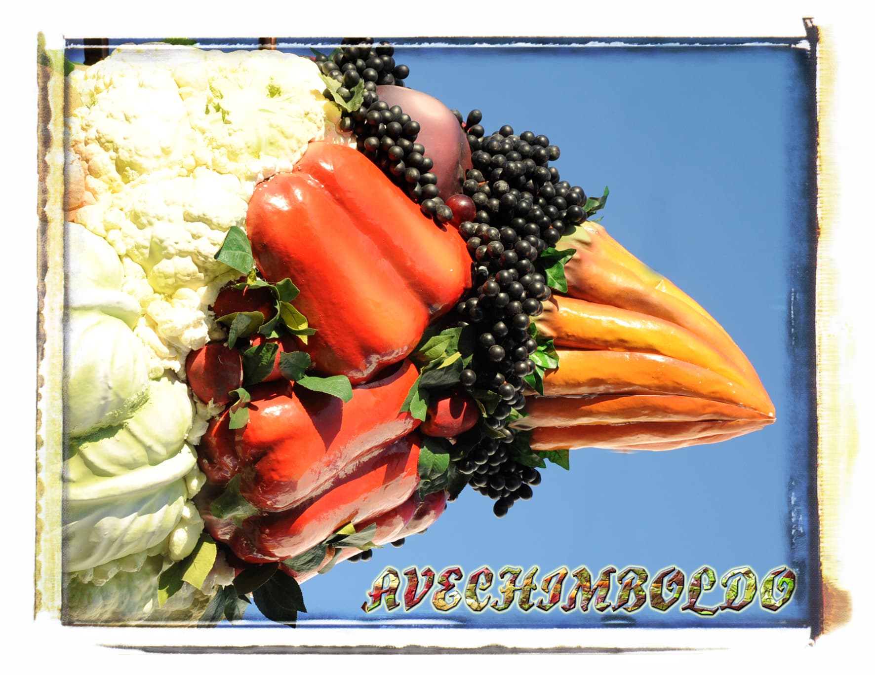 Avechimboldo