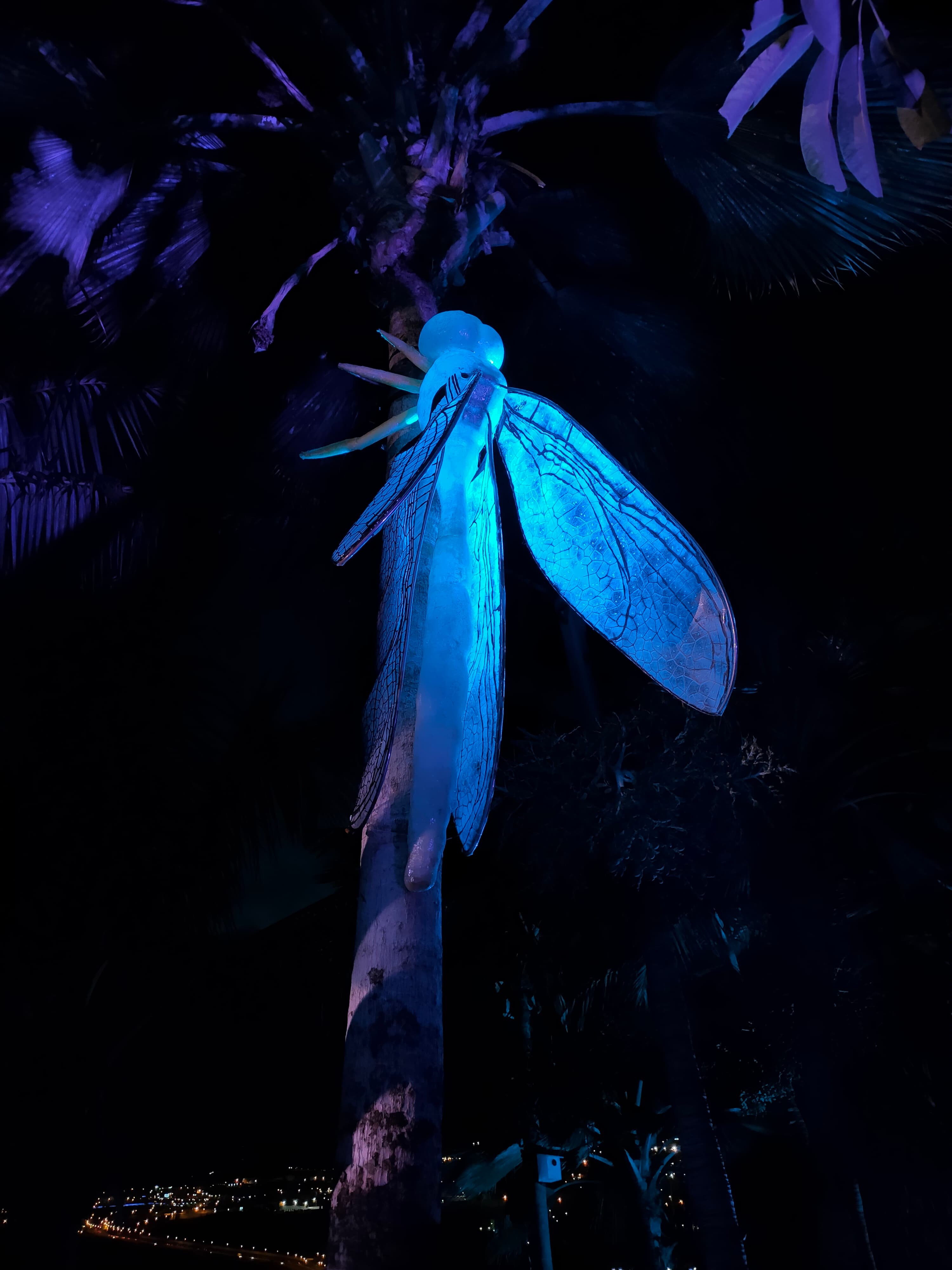 Naturaleza Encendida