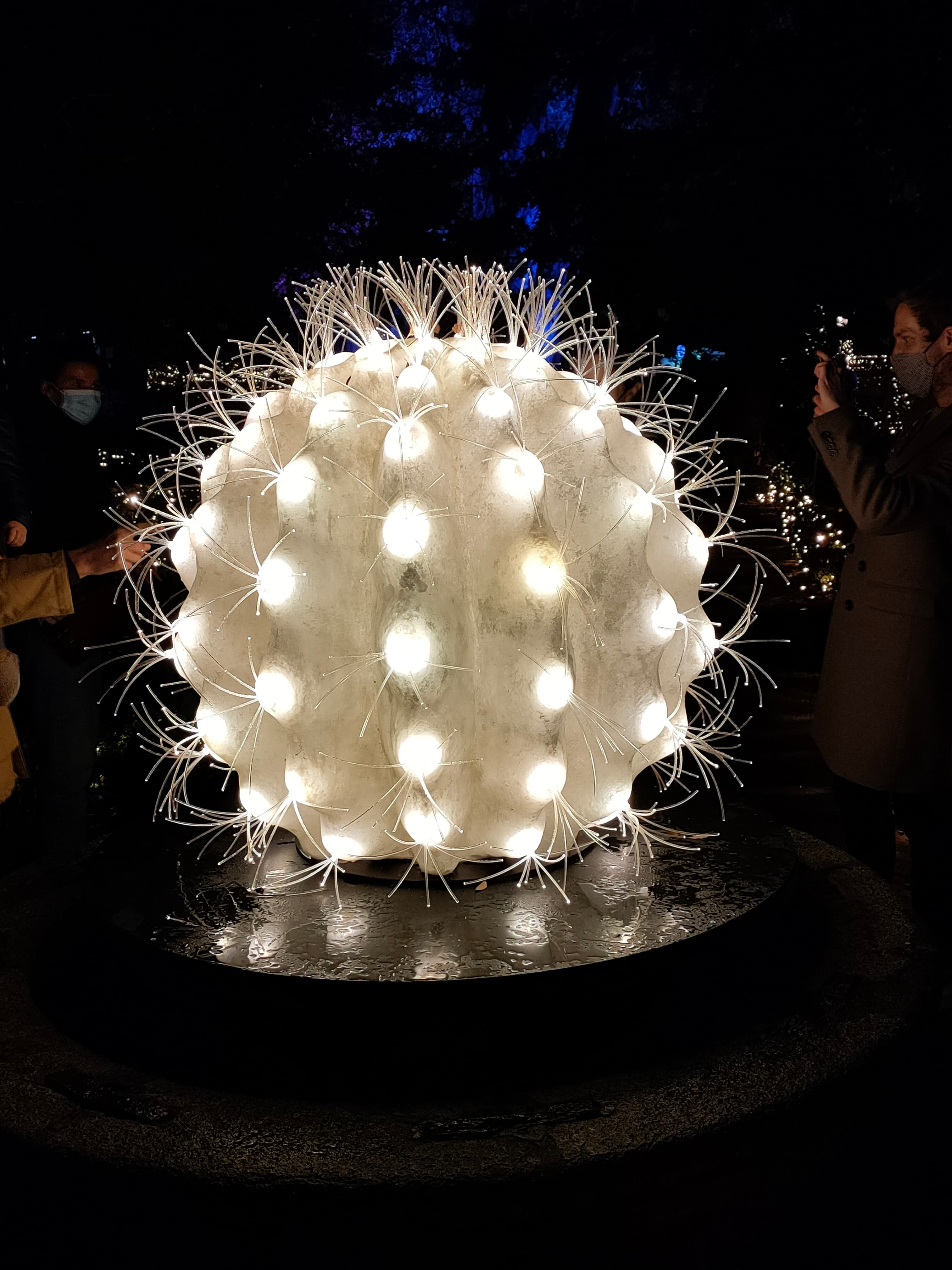 Naturaleza Encendida