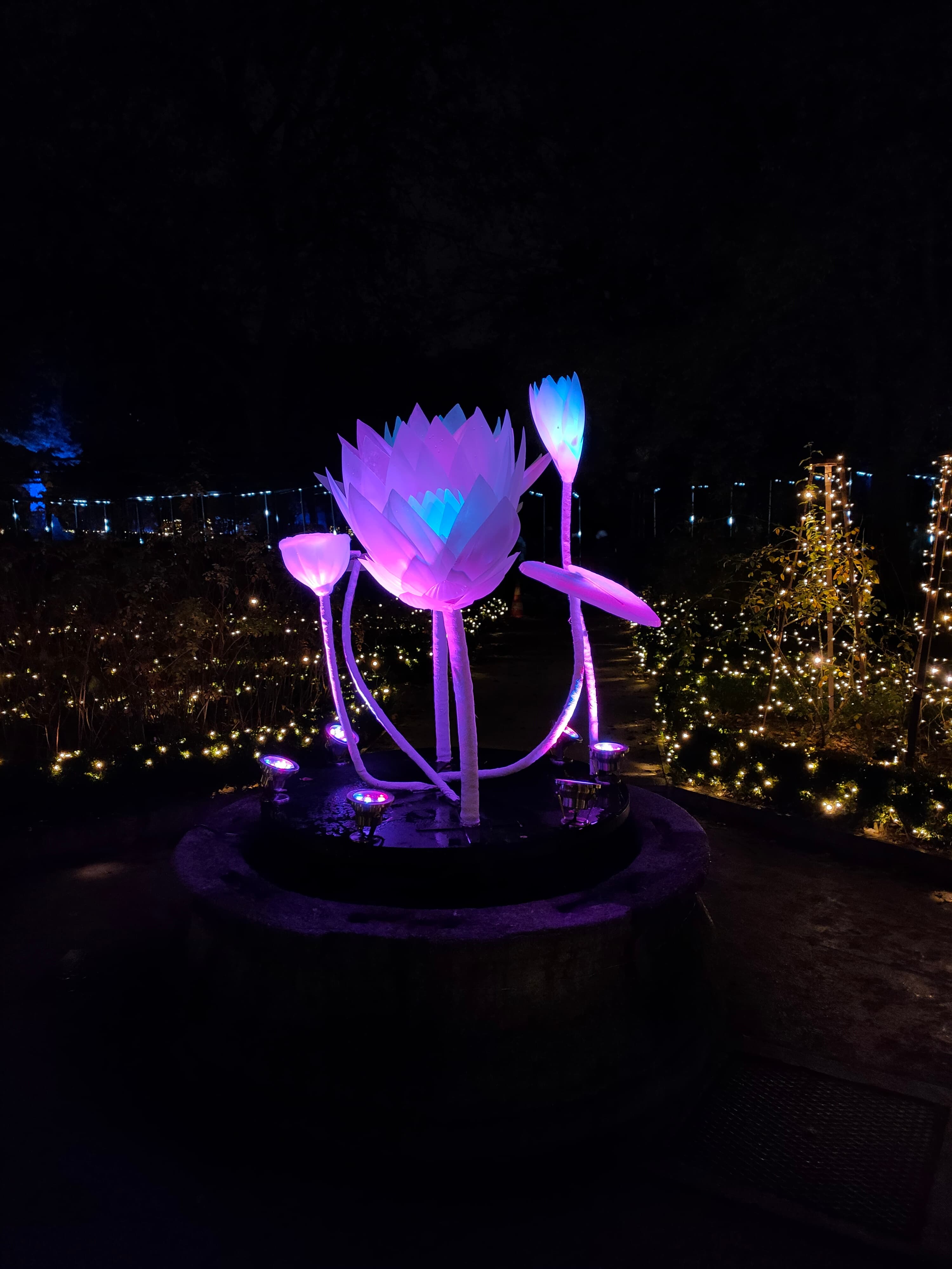 Naturaleza Encendida